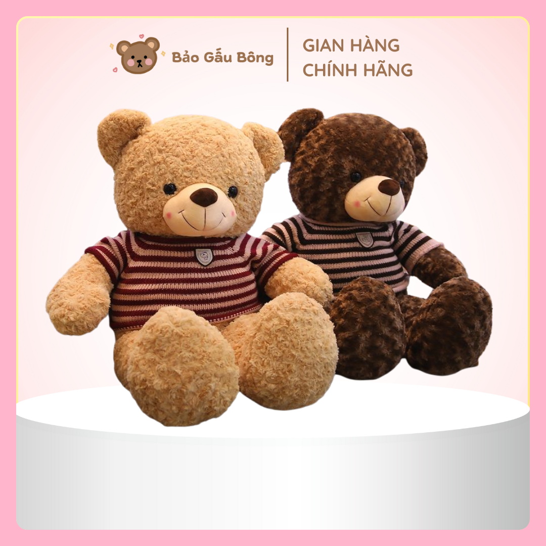 gấu bông teddy