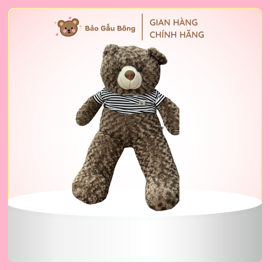 gấu bông teddy
