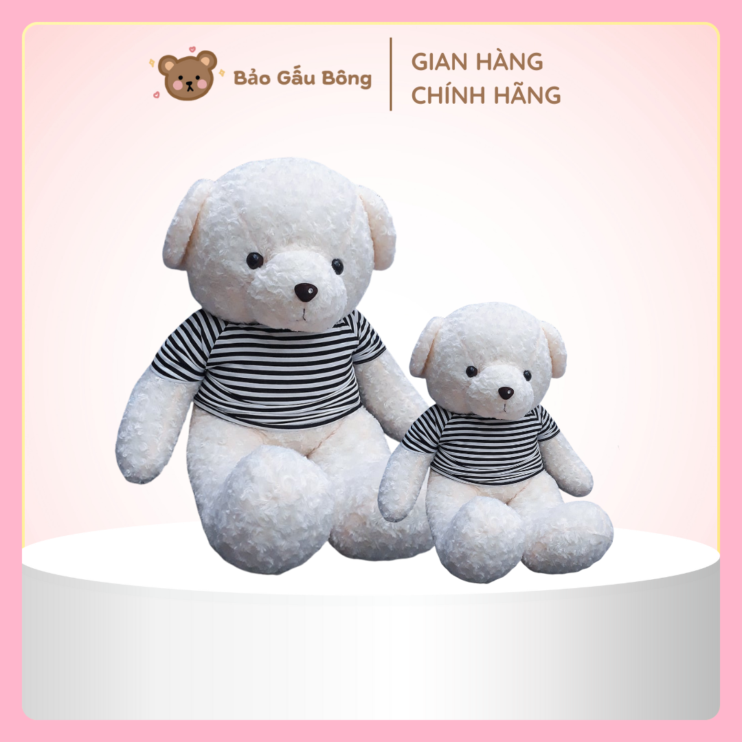 gấu bông teddy