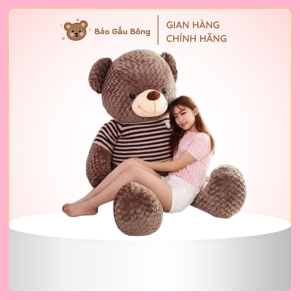 GẤU BÔNG TEDDY