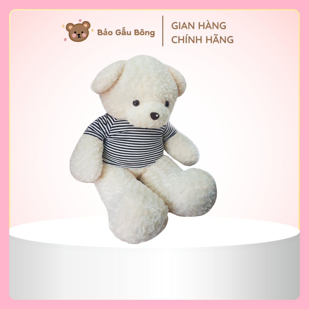 gấu bông teddy