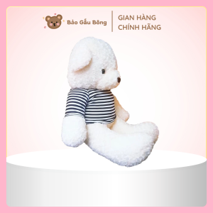 gấu bông teddy