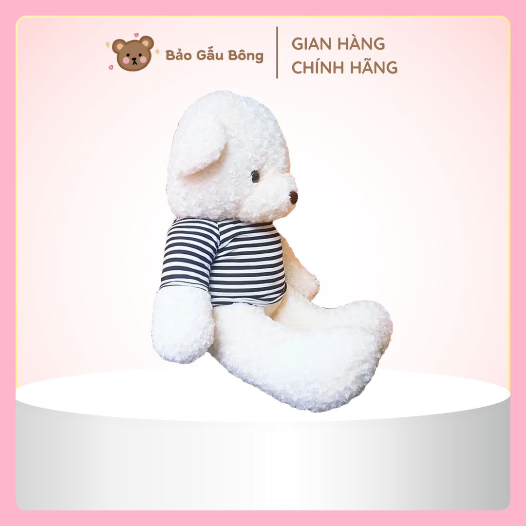 gấu bông teddy