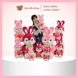 gấu bông thỏ dâu