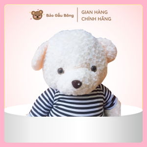 gấu bông teddy