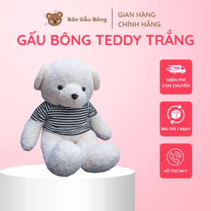 gấu bông teddy