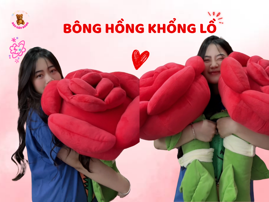 bông hồng khổng lồ