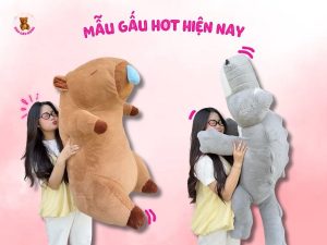 mẫu gấu hot hiện nay